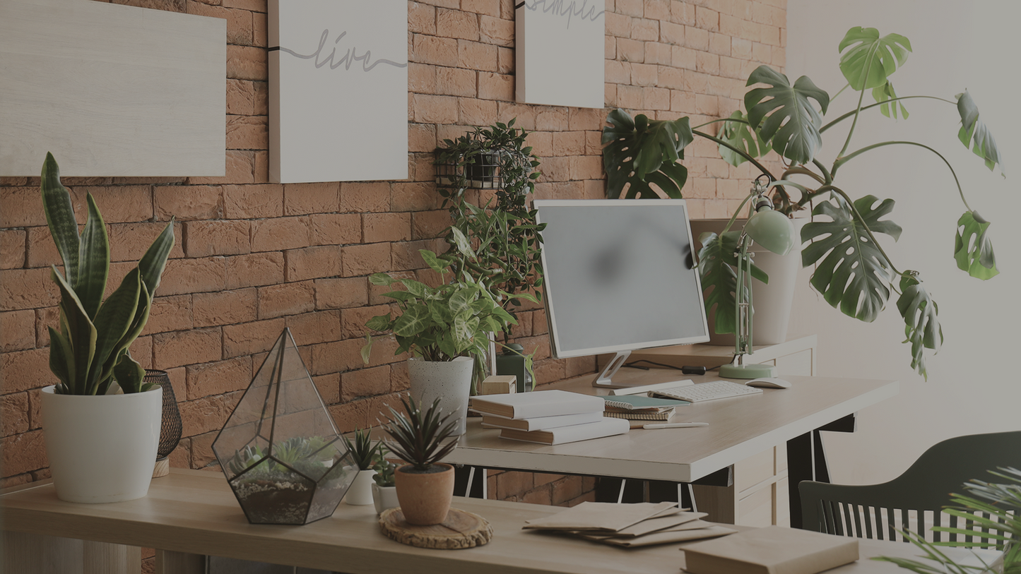 DO I WITH PASSION OR NOT AT ALL